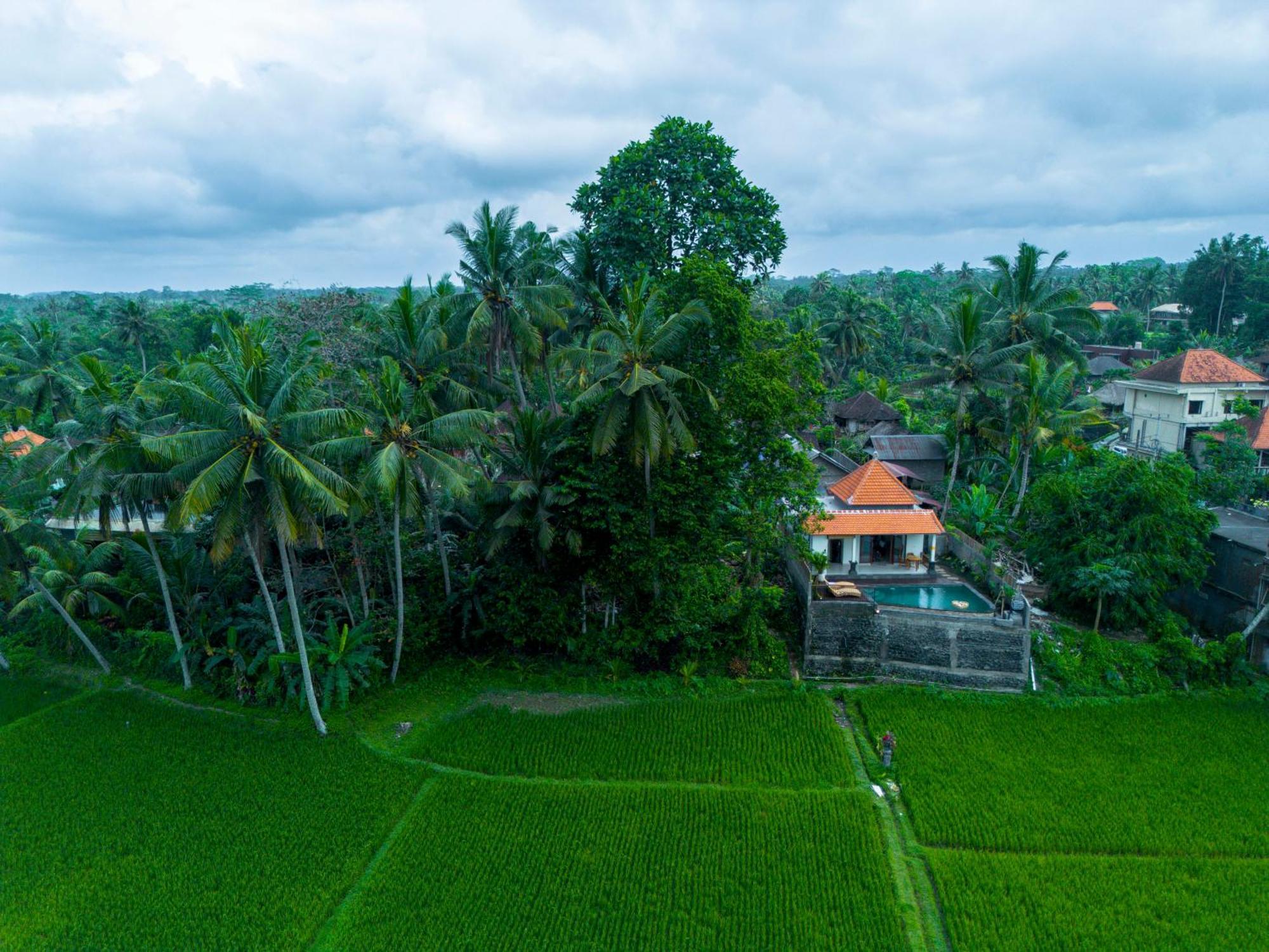 Jatining Ubud Villa & Spa 外观 照片